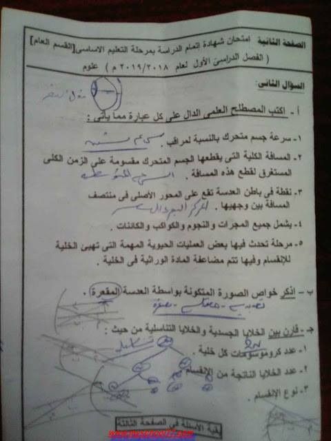 تسريب امتحان العلوم للصف الثالث الاعدادى الترم الاول 2019 ،  امتحان العلوم الصف الثالث الاعدادى الترم الاول