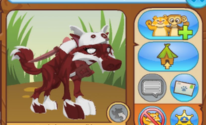 xxnorthwayxx animal jam ___________ لعبة الحيوان المخادع جام