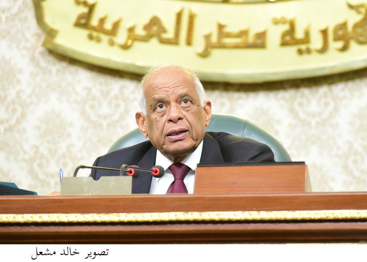 لماذا تحتاج مصر إلى رئيس قوى مثل عبد الفتاح السيسي؟ المؤرخ والكاتب الفرنسى شارل سان برو: القاهرة لا...
