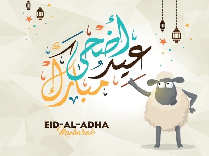 صور ورسائل تهنئة بعيد الاضحى المبارك للأهل والأصدقاء مسدجات عيد الأضحى واتس وفيس جديدة 2019 