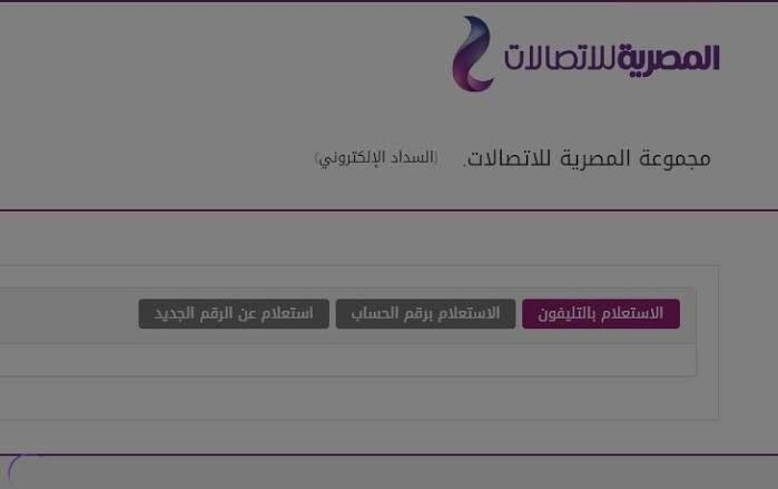 فاتورة التليفون الارضى E-Services من المصرية للاتصالات لشهر أكتوبر…