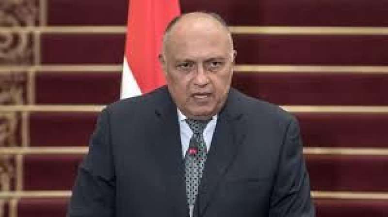 وزير الخارجية: العلاقات المصرية الفرنسية استراتيجية وتاريخية