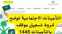 بالخطوات.. تعرف على شروط ومتطلبات تسجيل الموظفين في نظام التأمينات