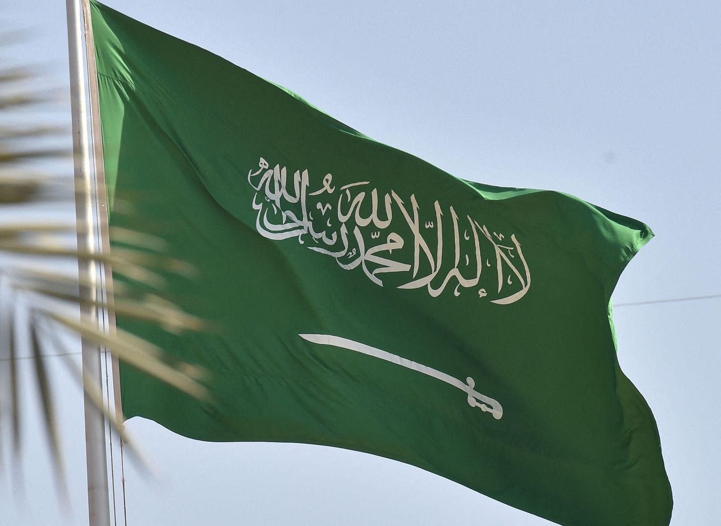 الديوان الملكي السعودي يزف هذه البشرى لاصحاب هذه الجنسيات بإعلان منحهم الجنسية فوراً .. تفاصيل
