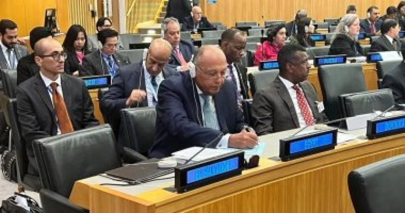 شكرى يشارك بالاجتماع رفيع المستوى لمجموعة أصدقاء ”مبادرة التنمية العالمية”