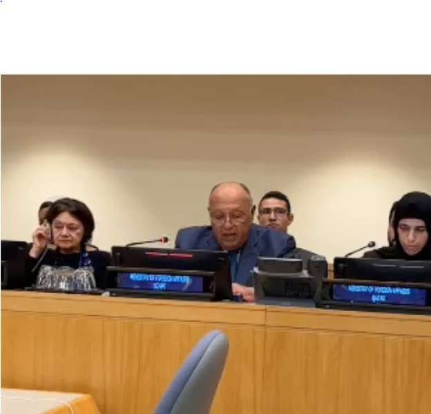 شكرى : خطة عمل لمعالجة الجوانب السياسية والإنسانية للأزمة بالسودان