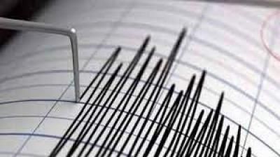 أخبار اليمن : هزة ارضية في تونس