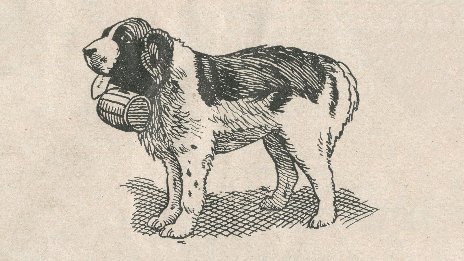 حكاية كورة.. "كلب" غير مجرى تاريخ كرة القدم في مانشستر يونايتد