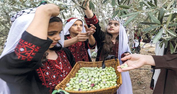 منظمة التحرير: إسرائيل تنفذ 16 مخططا هيكليا لتوسعة مستوطنات