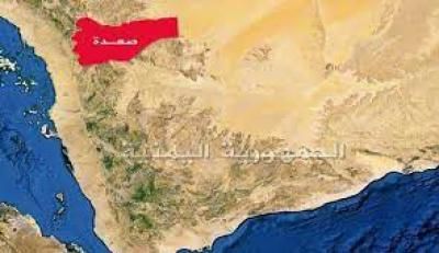 أخبار اليمن : شهيد بنيران الجيش السعودي في صعدة