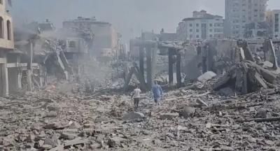 أخبار اليمن : ارتفاع حصيلة شهداء فلسطين إلى 1572