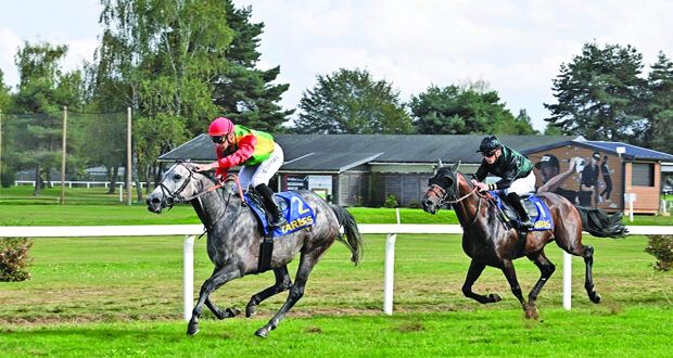 الفرس كوثر للخيالة السلطانية تفوز بالمركز الأول على مضمار تاربس الفرنسي