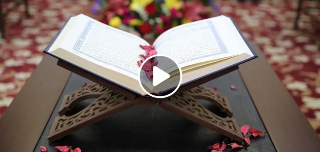 ماهي أفضل سورة تقرأ بعد الفجر ثوابها يعادل قراءة القرآن كله 10 مرات؟..