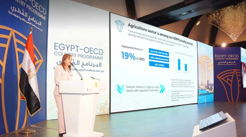 وزيرة التخطيط تطلق البرنامج القطري لمصر بالتعاون مع منظمة…