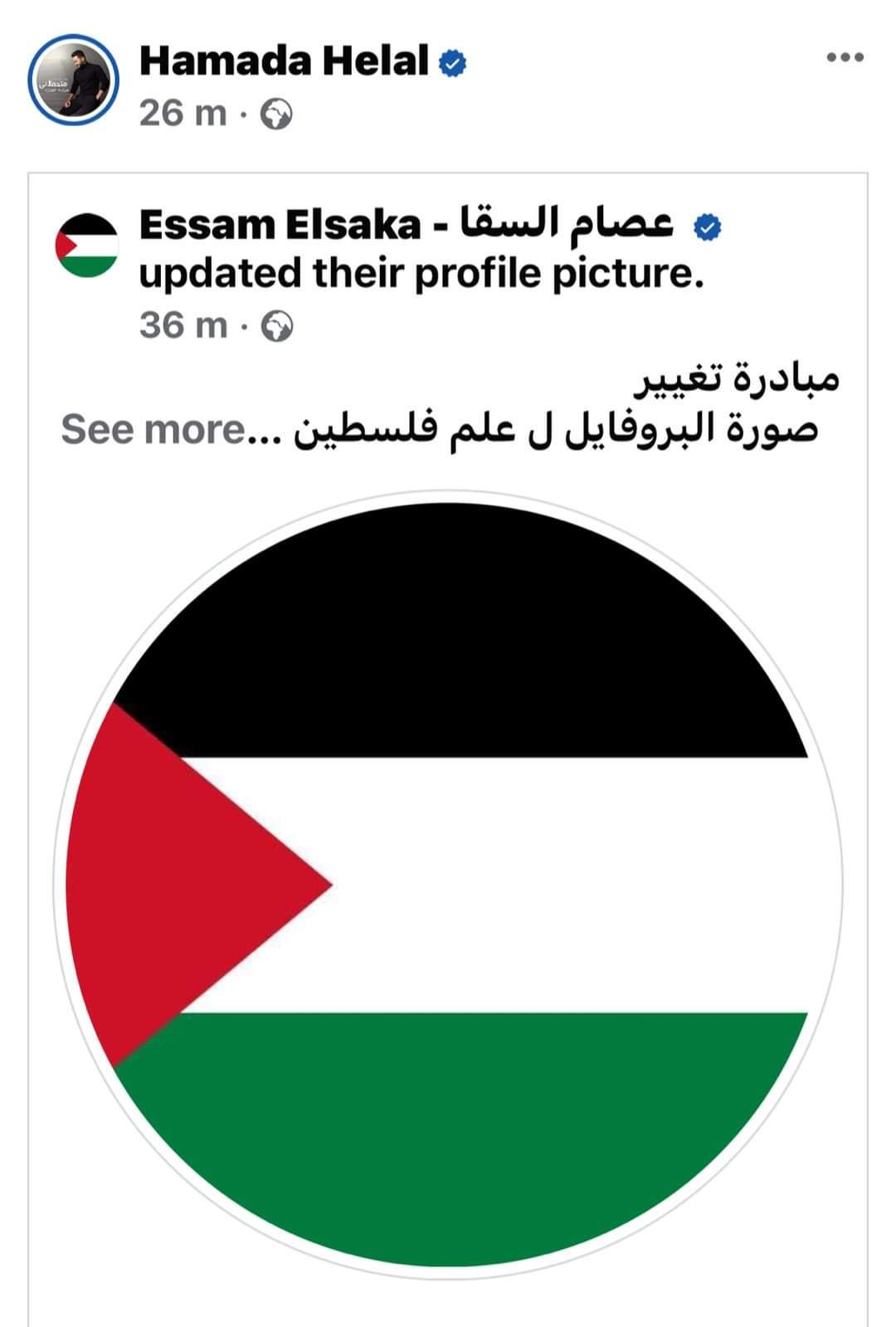 دعمًا لـ القضية الفلسطينية.. النجوم يغيرون الصورة الشخصية لعلم فلسطين