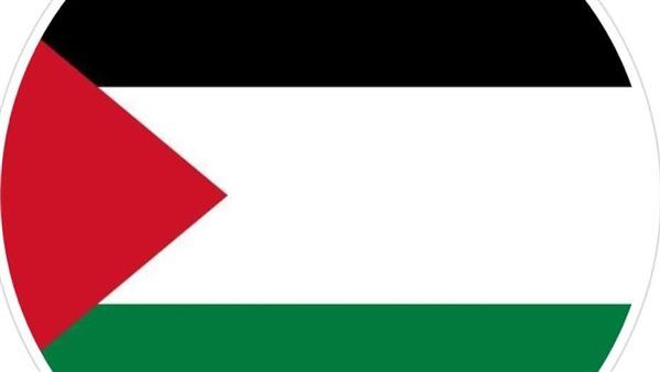 دعمًا لـ القضية الفلسطينية.. النجوم يغيرون الصورة الشخصية لعلم فلسطين