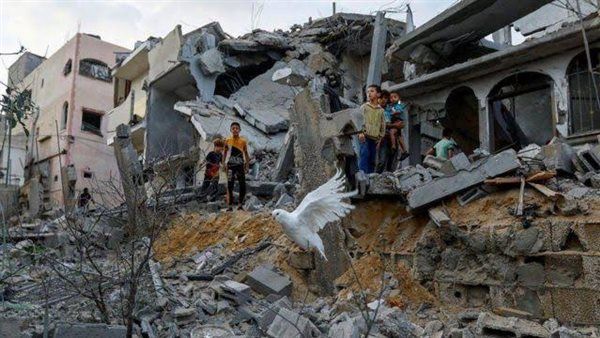 إعلام فلسطيني: 7 قتلى في قصف إسرائيلي على تل الزعتر شمال غزة