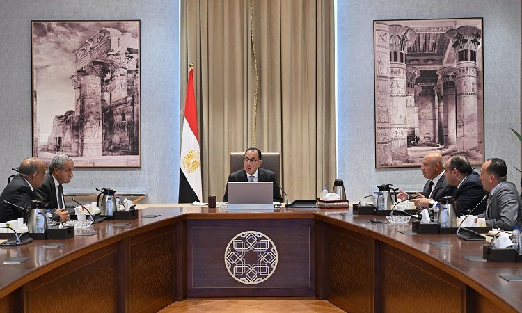 الحكومة: التعاقد على 3 سفن لنقل الحبوب والبضائع إلى إفريقيا