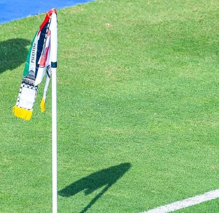 شاهد.. جمهور الأهلي يزين استاد القاهرة ودعم فلسطين حاضر بالأعلام والهتافات