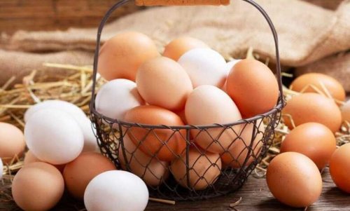 أسعار البيض اليوم الأربعاء 25 أكتوبر.. زاد وطلع للعالي في الأسواق