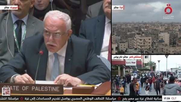 ‏وزير الخارجية الفلسطيني: يتوجب على إسرائيل الموافقة على وقف إطلاق النار في غزة
