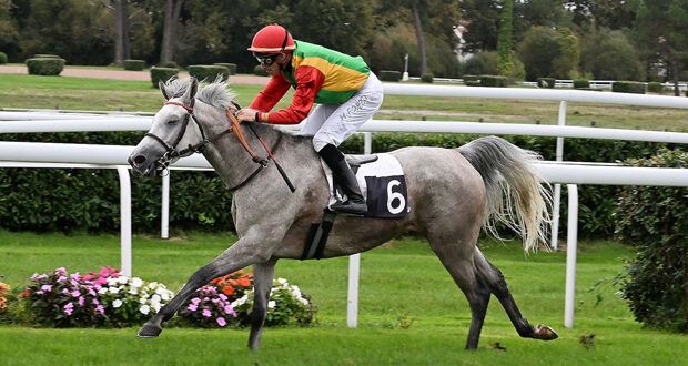 الفرس فطينة للخيالة السلطانية تفوز بالمركز الأول على مضمار بوردو لوبوسكات الفرنسي