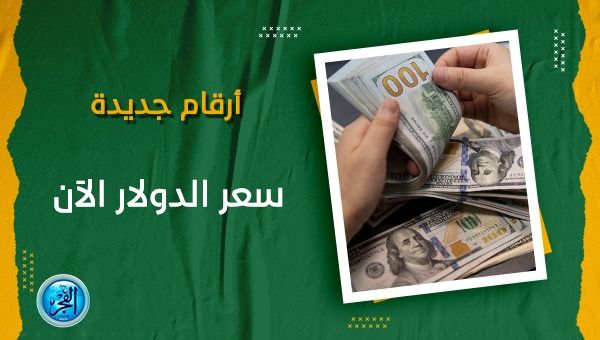 سعر الدولار في السوق السوداء اليوم الأحد 29 أكتوبر 2023