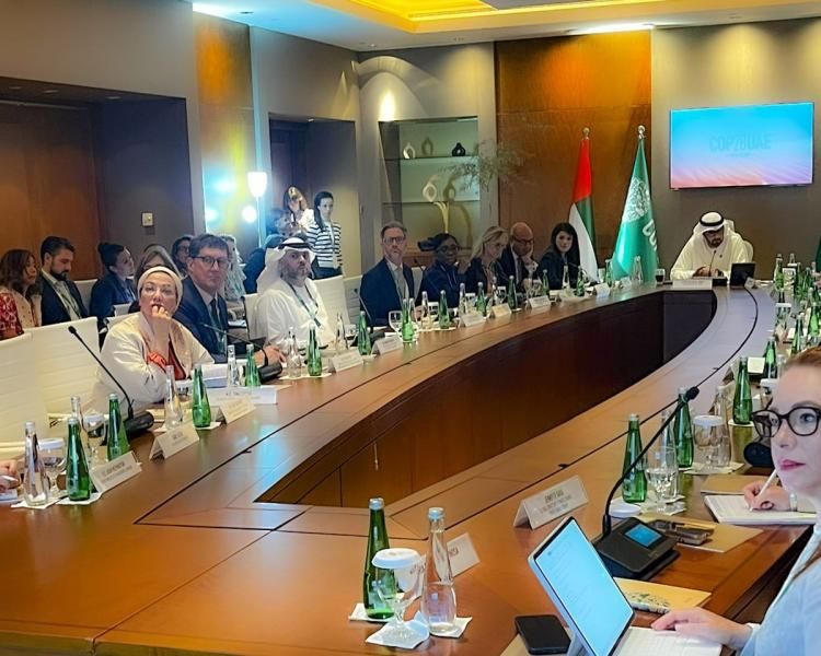 وزيرة البيئة تشارك في جلسة الاطار الجديد لتمويل المناخ