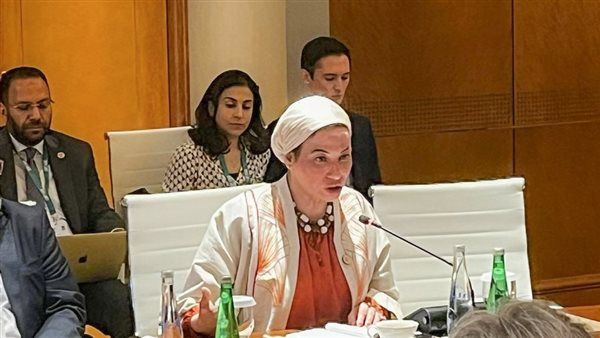 وزيرة البيئة تشارك في جلسة الاطار الجديد لتمويل المناخ