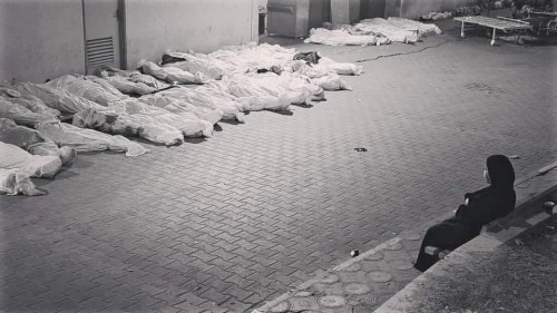 وجع غزة .. ينبضُ في بوليفيا وتشيلي وكولومبيا .. تفاصيل