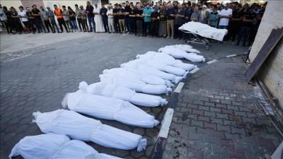أخبار اليمن : ارتفاع شهداء غزة إلى 8796 بينهم 3648 طفلاً
