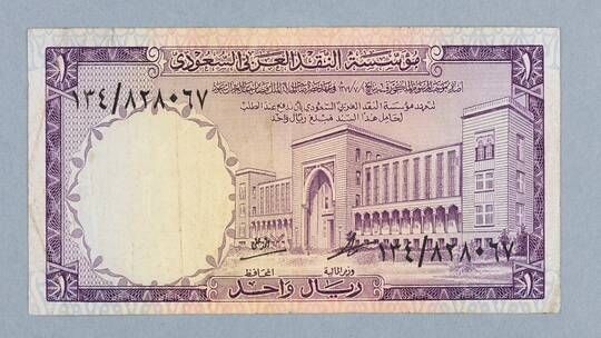 السعودية .. حملة إغاثة غزة تجمع أكثر من 125 مليون ريال