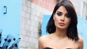 عاجل - سيرين عبدالنور تهاجم متابعيها بسبب أحداث فلسطين