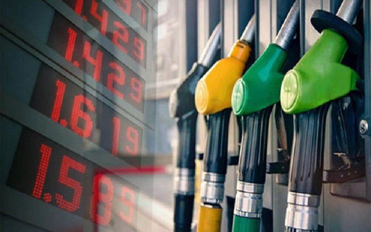 ملف.. محللون يرصدون تأثير ارتفاع أسعار الغاز الطبيعي على…