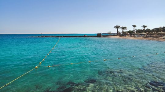 اتفرج اكتشافات تجعل السعودية تتربع على عرش أقوى الدول الاقتصادية في العالم !