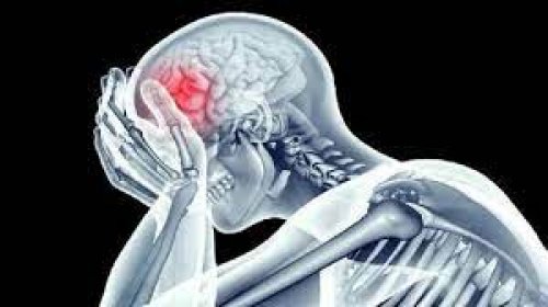 احرص عليه ولا تترددي..معجزة "ربانية" طعام بسيط يغذي المخ ويحسن بنية الدماغ ويقوي الذاكرة خلال وقت قصير!!تعرف عليه