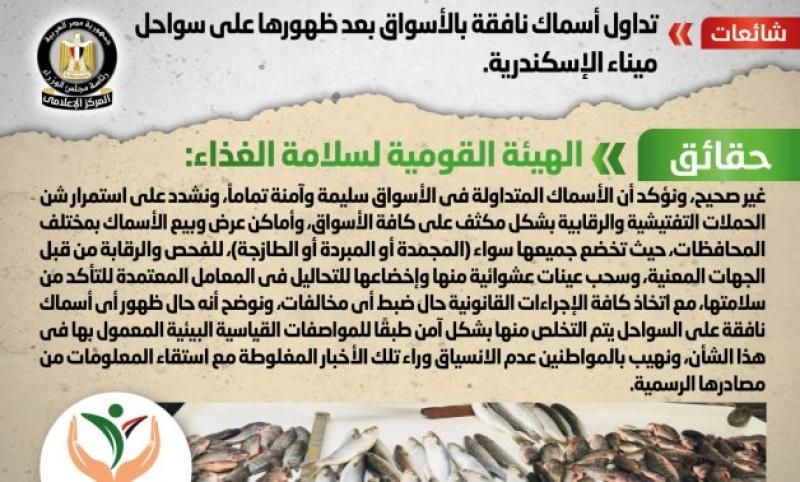 الحكومة تنفي تداول أسماك نافقة في الأسواق: المعروض آمن تماما