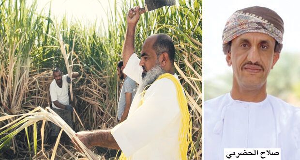 «الزيج» يحصد جائزة أفضل فيلم وثائقي بالهند