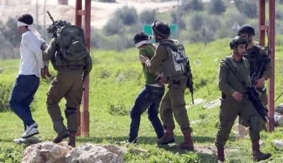 أخبار اليمن : الاحتلال يعتقل 69 فلسطينياً من الضفة
