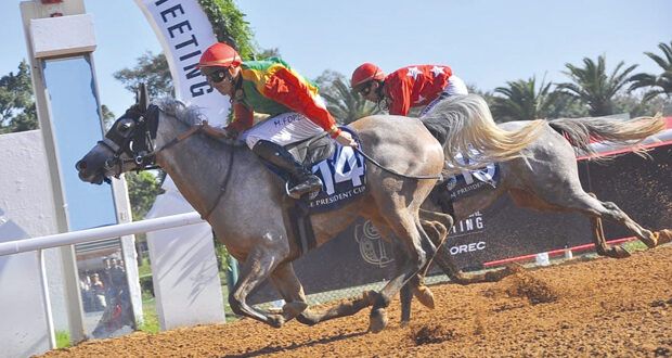 الخيالة السلطانية تفوز بكأس رئيس دولة الإمارات بمضمار أنفا المغربي