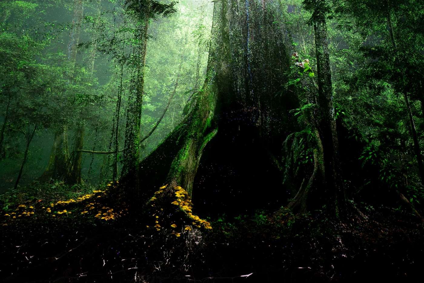 قد لا تعرفها.. 10 حقائق متميزة عن متحف المستقبل في دبي