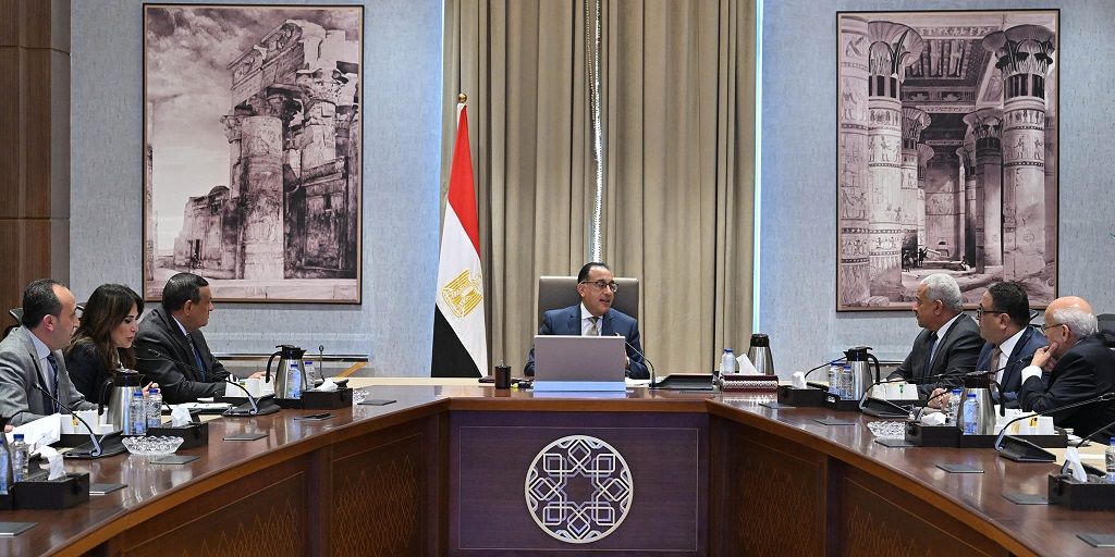 رئيس الوزراء يستعرض مشروعا لإنتاج الأمونيا الخضراء…