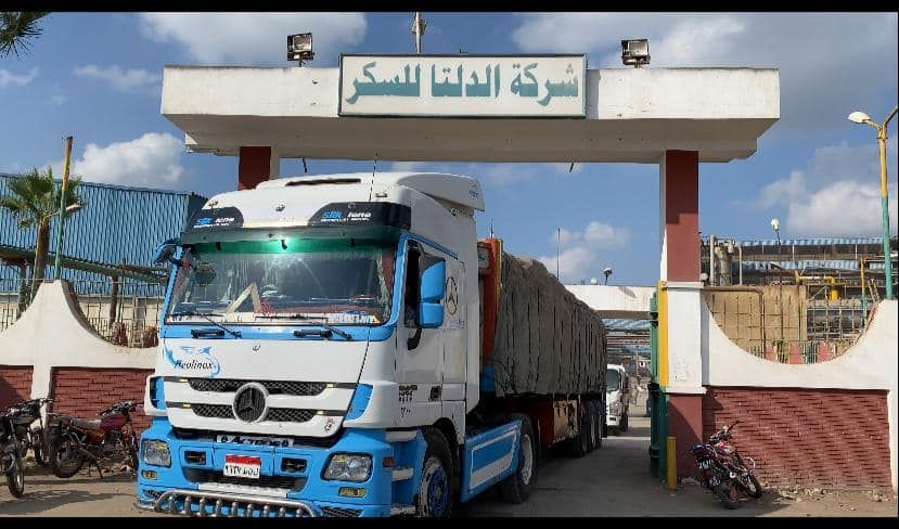 التموين: إلغاء إجازات شركات السكر وضخ يومي بالمجمعات…