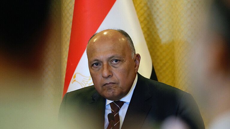الخارجية المصرية : الإخوان المسلمون كتنظيم "إرهابي" في مصر يختلفون عن حركات التحرر بفلسطين
