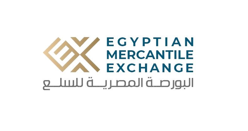 12 مليار جنيه إجمالي قيمة تداول القمح في البورصة السلعية…