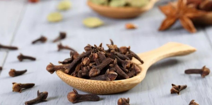 قبل النوم.. ضع القرنفل في هذا المكان خمس دقائق وشاهد النتيجة المفاجئة