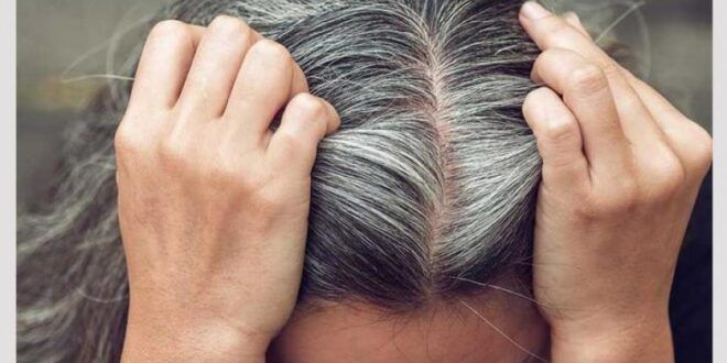 وداعاً للشيب الزائد.. اليك وصفة سحرية ببلاش تجعل الشعر الابيض يختفي تماماً ولا يعود