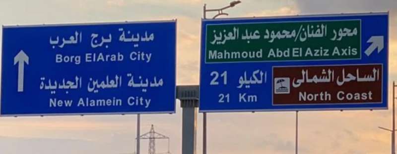 إطلاق أسماء بعض النجوم على ميادين وشوارع مصر.. تفاصيل