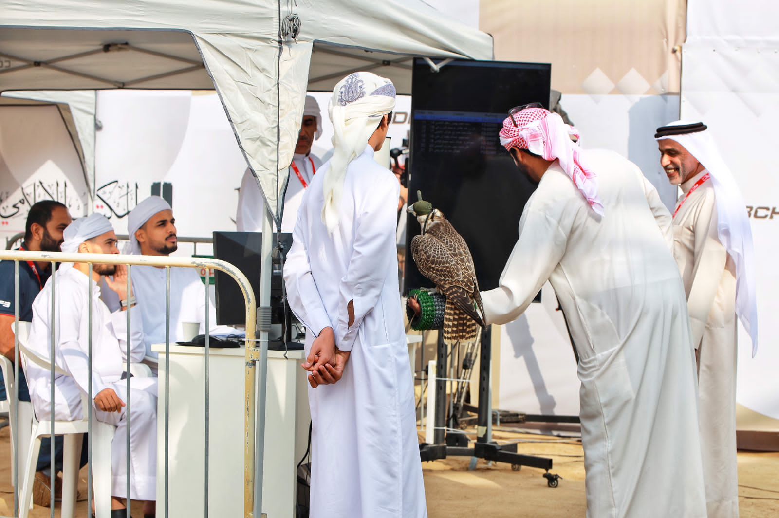 بطولة فزاع للصيد بالصقور تنطلق بمشاركة كبيرة ومنافسات قوية في أشواط “العامة مُلاك”