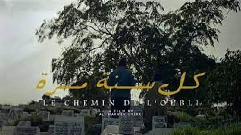 فيلم ”كل سنة مرة” يفوز بجائزة لجنة التحكيم الخاصة من مهرجان القاهرة...